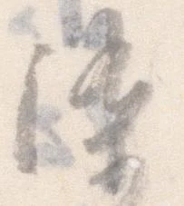 位置定マレル染