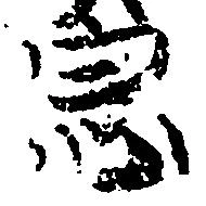 位置定マレル宗