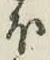 글자 ほ
