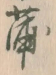 字蒲