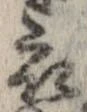 已定位衣