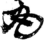 已定位丸