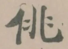 佻の位置