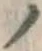 字ノ