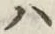 字ハ