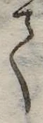 𛁳 위치 확인됨