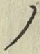 字ノ