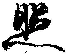 照 위치 확인됨