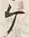 “ケ”字