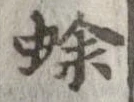 蜍 위치 확인됨