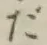 글자 だ