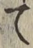 字て