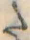已定位𛁠