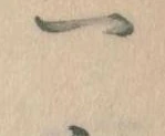 一の位置