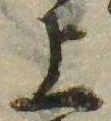 位置 確認된 上