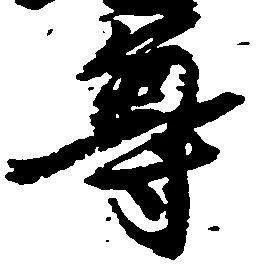 已定位尊