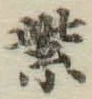 字紫