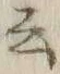 Chữ 云