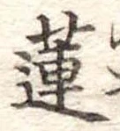蓮 위치 확인됨
