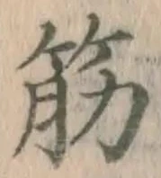 글자 筋