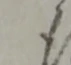 為 위치 확인됨