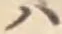 글자 ハ