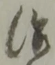 治 위치 확인됨
