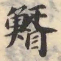 䱬の位置