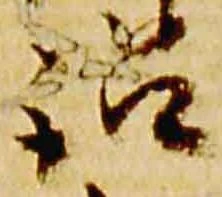 Đã định vị 訟