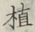 글자 植