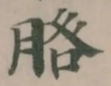 𦜵 위치 확인됨