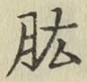 文字肱