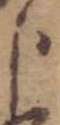 位置 確認된 分