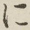글자 に