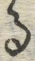 글자 る