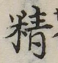精 위치 확인됨