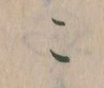 この位置