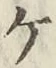 字ケ