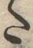 𛁠 위치 확인됨