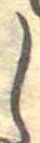 𛁅 위치 확인됨