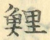 字鯉