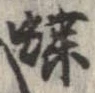 蝶 위치 확인됨