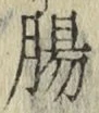 文字腸