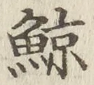 Character 鯨