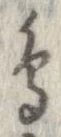 已定位鳥