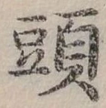 頭 위치 확인됨