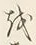 文字を