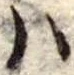 𛂞の位置