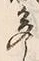 글자 多