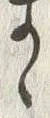 𡨸ゝ